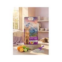Premium Quality Portakal Ve Lime Kokulu 10 Litre Bentonit Kedi Kumu - 938400741