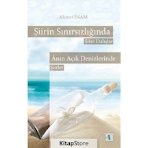 Şiirin Sınırsızlığında Şiire Dalışlar - Ahmet İnam - Aktif Düşünce Yayıncılık
