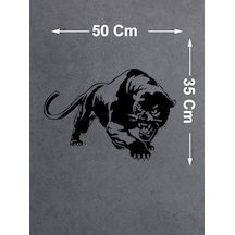 50x35 Cm