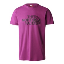 The North Face S/S Woodcut Dome Tee-Eu Erkek T-Shirt-26273 - Mor