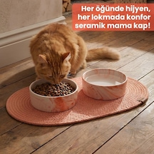Premium 3'lü Evcil Hayvan Mama Kabı Seti 2 Adet Lüks Mermer Desenli Seramik Kase Ve 1 Adet Oval Örgü Jüt Paspas, Kedi Ve Köpek Su Yemek Tabağı Seti Turuncu