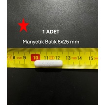 Manyetik Balık 6x25 Mm - Boy:25 Mm - Çap:6 Mm - 1 Adet
