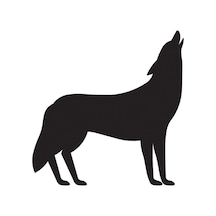 Folyo Sticker Kurt 30cm Uzunluk Siyah