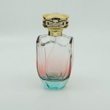 Parfüm Şişesi 100 Ml 5 Adet Çift Renkli Oval Model