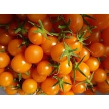 Turuncu Cherry Domates