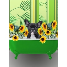 Tablo Ahşap Poster Dekoratif Ayçiçeği Ile Banyoda Fransız Bulldog Ahşap Çok Renkli Çerçevesiz