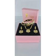 Yonca Gold Çelik Takı Seti 362 Gümüş - Rose Gold