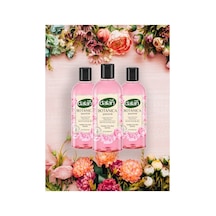 Botanica Duş Jeli 500ml Şakayık 3 Adet Diğer