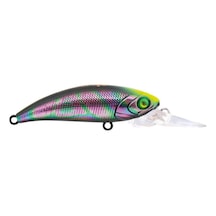Hanfish Zıpır Ug Spin Star
