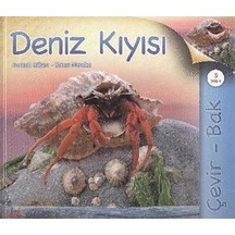 Çevir Bak / Deniz Kıyısı / Simon Mendez