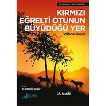 Kırmızı Eğrelti Otunun Büyüdüğü Yer - Kyut-763567