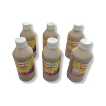 Burhelsan Tahin 6 x 450 G