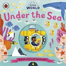 Little World: Under The Sea (Push And Pull Adventure) 9780241373019