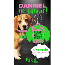 Petjoo 21.Danniel Yeşil-Pembe Qr'lı Köpek Künyesi