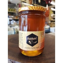 Gurmepark Hakkari Bal Süzme Çiçek Balı 460 G