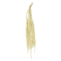 Şoklanmış Amarantus Demeti 100 Cm-10581