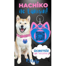 Petjoo 19.Hachiko Mavi-Pembe Qr'lı Köpek Künyesi