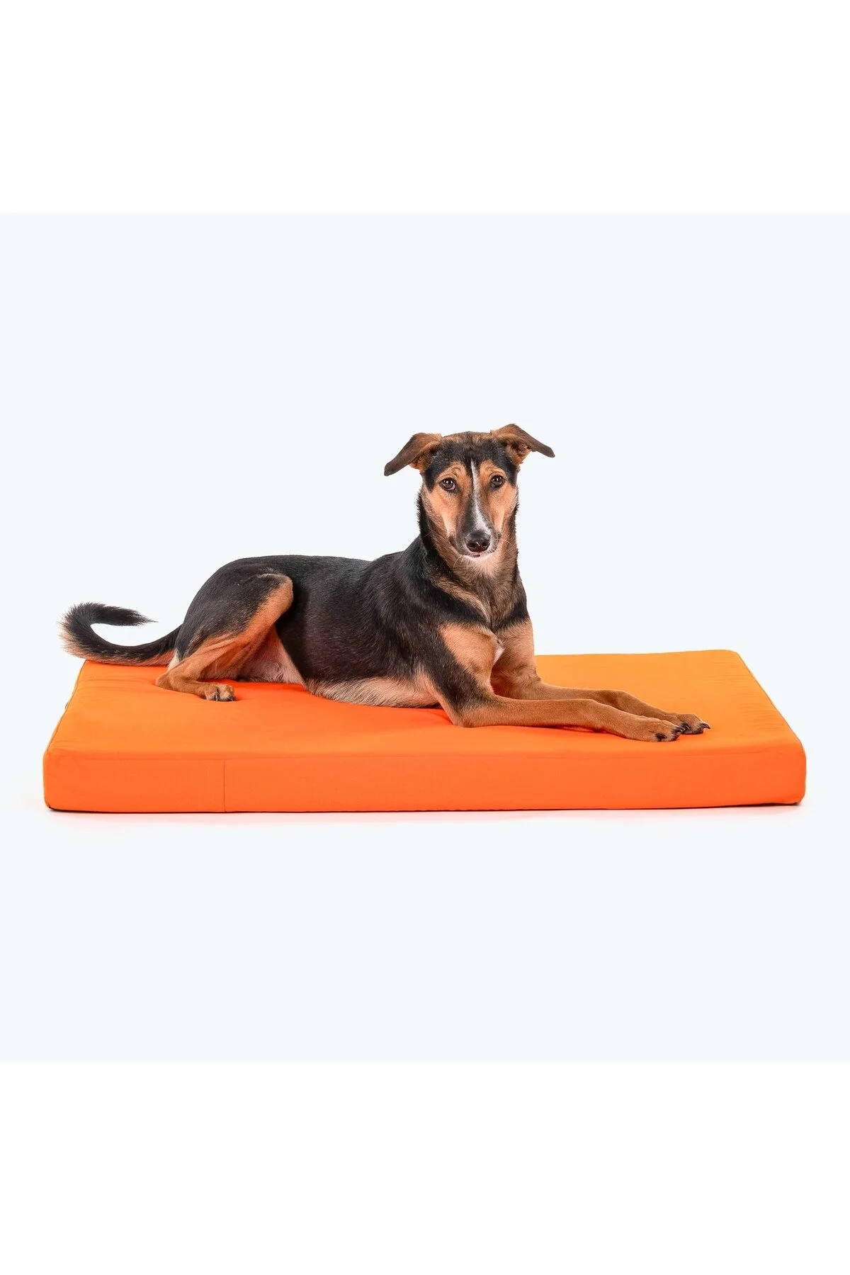 40x80 Basic Köpek Yatağı