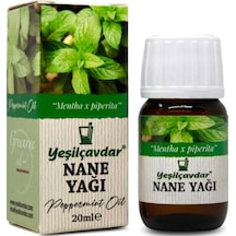 Yeşilçavdar Nane Yağı 20 Ml 20 G