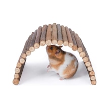 Hamster Fare Sıçan Kuşlar Için Eğlenceli Ahşap Merdiven Köprü