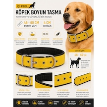 Köpek Boyun Tasması İçi Pedli 46-60 Cm 4 Cm Geniş Ayarlanabilir Metal Tokalı - Sarı Çok Renkli