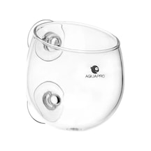 Aquapro Glass Plant Pot Cam Bitki Saksısı