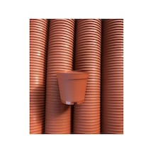 5.5 Cm Sukulent Kaktüs Saksısı 50 Adet Kahverengi
