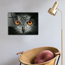 Decorıta Hayvanlar | Cam Tablo | Baykuş - Yatay Görünüm