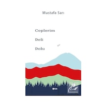 Ceplerim Deli Dolu - Mustafa Sarı - Şule Yayınları