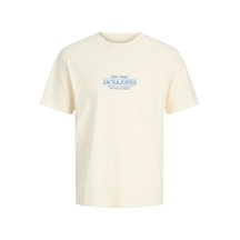 Jack & Jones Jorcassıs Mınımal Tee Ss Crew Neck Sari