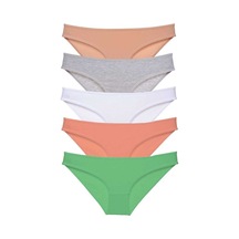 5 Adet Süper Eko Set Likralı Kadın Slip Külot Ten Gri Beyaz Pudra Yeşil Çok Renkli