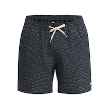 Quiksilver Stretch Prınted Erkek Şort Eqyjv04217-qk.6457 Antrasit