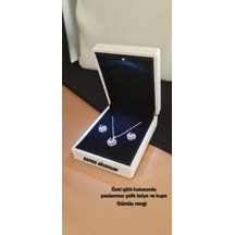 Işıklı Kutusunda Çelik Kolye Ve Küpe Gümüş - Rose Gold