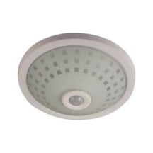 Nisaluce E-2002 Tan Armatür Camlı Kafes 360 Hareket Sensörlü 5mt Aı 2 Adet E27 Ampul Duylu 12 Çok Renkli