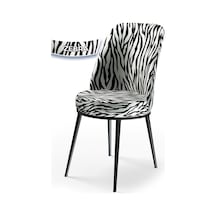 Zebra Desen