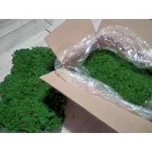 Trend Bahçe Reindeer Moss Forest Green Şoklanmış Norveç Yosunu 4 KG