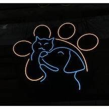 Veteriner Kedi Köpek Neon Led Tabela Renkli