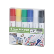 Pıntor-m-6 Color Set Basic