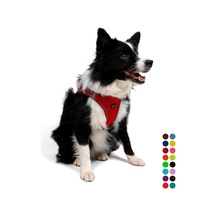 Açık Bej - Bej