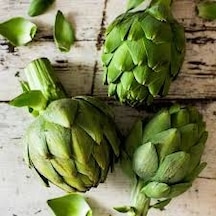 5 Adet Tohum Organik Hobi Bahçe Enginar Tohumu Yeni Hasat Tohum