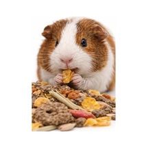 Versele Laga Muesli Guinea Pig Yemi 1 Kg