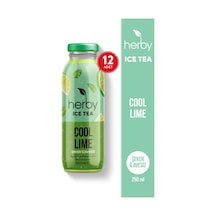 Herby Ice Tea Cool Lime 12 x 250 ML