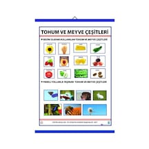 Tohum Ve Meyve Çeşitleri Levhası 70X100 Cm