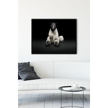 Pster11887 Kutup Ayısı Eğlenceli Mizahi Çerçeveli Tablo 30 X 40cm 7/8 Yaş