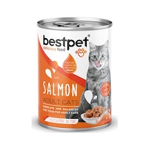 Bestpet Parça Etli Somon Balıklı Yetişkin Kedi Konservesi 12 Adet 400 Gr 243-20013.03