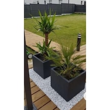 Trendesk Galvaniz Kare Saksılık, Çiçeklik ,Çiçek Standı Texture Mat Siyah 40*40*40 CM
