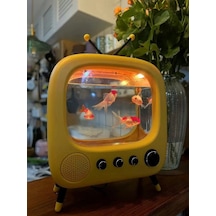 Monozone Tv Şekilli Işıklı Mini Akvaryum Beta Balık Tankı Vintage