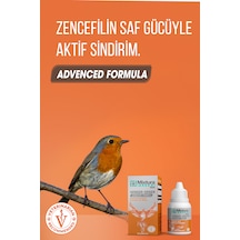 Mixtura Pharma Bird Vınager-gınger