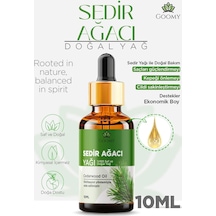 10 ML