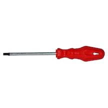 Tornavida Torx T10